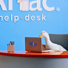 Treating yourself to your favorite drink can only add to the fun!. Aflac Isn T Adamdeer