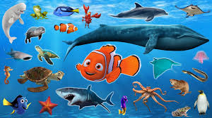 Learn Sea Animals Water Animals Names And Sounds Drulii Tv For Kids Animal Habitats Water Animals Animals