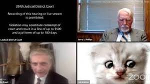 I am not a cat. during a virtual court proceeding in the 394th judicial district court in brewster county, texas, attorney rod ponton accidentally logged on to the meeting with a cat filter emblazoned ponton responded to the judge saying he is aware but he does not know how to remove the cat filter. Texas Attorney Accidentally Leaves Cat Filter On During Zoom Call Abc7 Youtube
