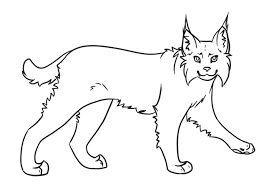 All lynx coloring pages color page click view printable version online compatible with ipad android tablets canadian. Wjsniaexlgz Pm