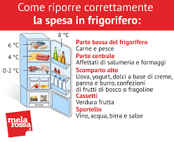 Maybe you would like to learn more about one of these? I Consigli Su Come Ordinare Il Frigo Per Conservare Gli Alimenti Melarossa