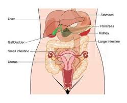 Maybe you would like to learn more about one of these? Pin On Endometriosis Pelvic Pain Blog