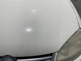 Image result for Campanella White 2008 GLI