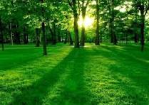 جمال الطبيعة صور طبيعة خلابة و لا أجمل الطبيعةالخضراء ...