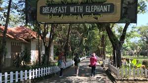 Owner membangun lembang park & zoo dengan mengedepankan kenyamanan dan kebersihan bukan. Long Weekend Pengunjung Kebun Binatang Surabaya Kbs Diimbau Pesan Tiket Sehari Sebelum Berkunjung Surya Travel