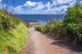 The ferry to tiritiri matangi takes about 75 minutes and operates wednesday to sunday only. Tiritiri Matangi Boat Landing Photograph By Joan Carroll