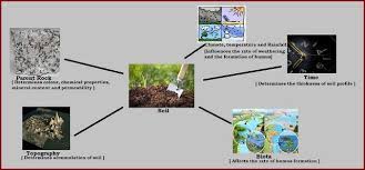 We did not find results for: What Are The Factors Responsible For The Formation Of Soil