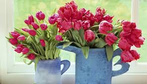 Resultado de imagen para flores