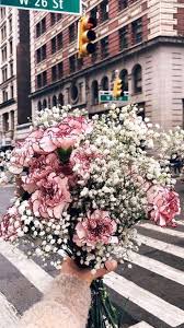We would like to show you a description here but the site won't allow us. Pin By Cristina Martalogu On Flowers Avas Flowers Beautiful Flowers Affordable Flowers