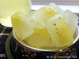 Diy Chicken Broth Dog Treats Dog Food Recipes Dog Recipes Dog Treat Recipes