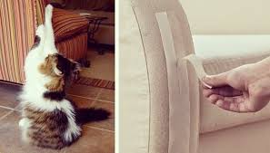 Kedi Mirlamasinin Iyilestirici Gucu Artik Bilimsel Olarak Kanitlandi Kedi Mirlamasi Hem Kulagimiz Araciligiyla Hem De Furniture Scratches Cats Cat Accessories
