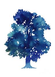 Image result for trees against white background