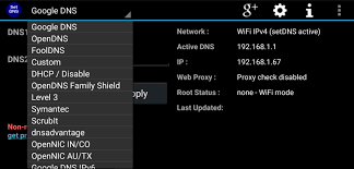 Allows user to ping domains and get jitter, latency and packet loss values. Set Dns 2 1 3 Descargar Para Android Apk Gratis