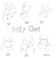 Belly Chart By Guardian Draca Jpg 800 818 Art Reference Poses Body Reference Drawing Art Poses