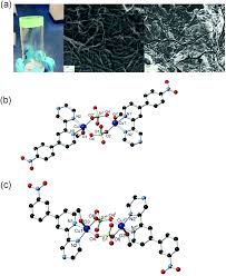 How much of wolfgang m. Exploring The Reversible Host Guest Chemistry Of A Crystalline Octanuclear Ag I Metallosupramolecular Macrocycle Formed From A Simple Pyrazinylpyridine Ligand Dalton Transactions Rsc Publishing