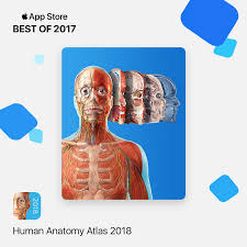 Easyanatomy is an interactive 3d canine anatomy study & reference app. Visible Body App Featured In Apple S Best Of 2017