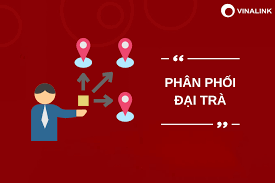Chiến lược phân phối là gì? 3 chiến lược, 2 cách thức phân phối đỉnh cao