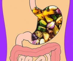 Cuanto Tarda Nuestro Organismo En Digerir Diferentes Tipos De Alimentos Y Por Que Es Vital Saberlo En 2020 Alimentos Diferentes Tipos De Los Tipitos