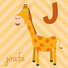 Let's learn the alphabet in spanish and learn the spanish alphabet pronunciation of spanish letters. Cute Cartoon Zoo Illustrated Alphabet With Funny Animals Spanish Alphabet J For Jirafa Stock Vector Illustration Of Collection Cute 118457227