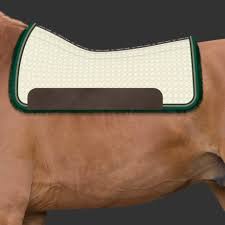 Our vision is of a future with a good quality of life for all, a healthy and biodiverse environment, and a stable and sustainable population size. Mattes Lammfellpad Square Champagne Mit Korrektursystem Westernreitshop Online Shop