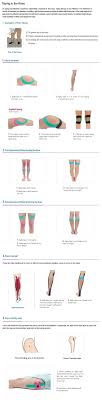 Pin On Physical Therapy
