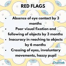 Image result for Visual Fixation