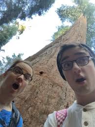 Major Knitter: Adventures