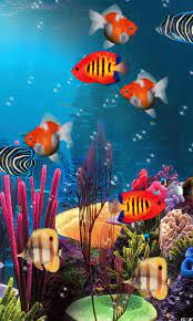 Pin By Marco Kaloucce On Marinos Fish Wallpaper Sea Creatures Drawing Colorful Fish