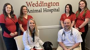 New clients and patients are always welcome. Meet Our Vets And Team Weddington Animal Hospital