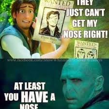 Voldy Nose Flynnryder Harry Potter Grappen Grappig Boeken