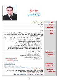 Arabic English Cv