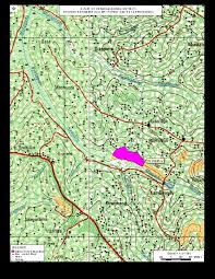 Image result for Mikania sagittifera