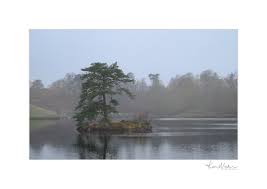 Low tide in Poole Bay this morning!
