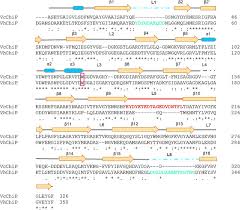 52, 1st floor, jalan bunga tanjung 10, taman muda. Single Channel Properties Sugar Specificity And Role Of Chitoporin In Adaptive Survival Of Vibrio Cholerae Type Strain O1 Journal Of Biological Chemistry