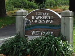 Maybe you would like to learn more about one of these? Luray Page Weddings