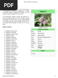 Image result for Indigofera adenoides