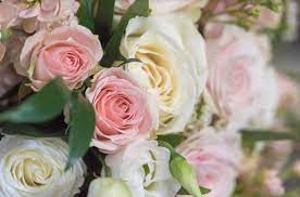 Ginger S Flowers And Gifts Flower Shop Martinsburg Martinsburg Flower Delivery