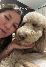 Meet Penny: Our Sweet Doula Puppy!