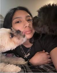 Our Team — Halo Veterinary Hospital