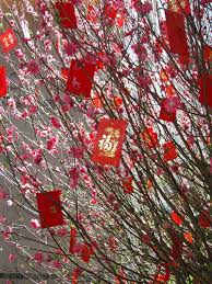 Chinese New Year Money Tree With Red Packets Affiliate Money Year Chinese Packets Red Ad Money Trees Chinese New Year New Years Tree