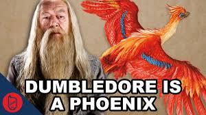 'she was transferred to st. Jonathan Carlin Auf Twitter New Video Dumbledore Is A Phoenix Harry Potter Theory Https T Co Lavdqobrcg Harrypotter Pottermore