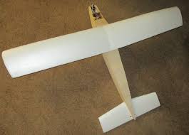 November The EFO Officers 2024