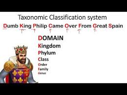 Taxonomic Classification System Mnemonics Animal Kingdom Classification Short Tricks Youtube