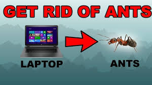 Maybe you would like to learn more about one of these? How To Protect Your Laptop From Ants Techosaurus Rex