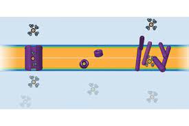 4.21 cell walls enclose and support plant cells 1. Active And Passive Transport Difference And Comparison Diffen