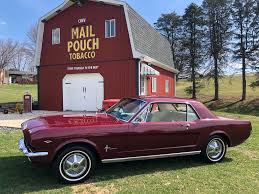 Image result for Light Maroon 1965 AC Cars