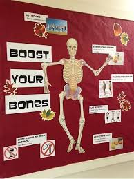 Image Result For School Nurse Health Bulletin Boards Gift Free Here Education Health Bulletin Boards School Nurse Office Decorations School Nurse Office