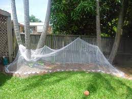 Hoe the dirt right up over the corn sprouts, burying them as you do so, and you will keep the sprouts and the attached corn seed out of the birds' sight. How To Keep Birds From Eating Grass Seeds In 7 Easy Ways
