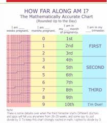 How Many Weeks In Each Tri Babycenter