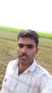 गेहूं के खेत चूहे....🐀🐀, #facebook #meta #farming #agriculture